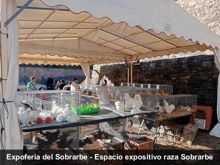 Expoferia Sobrarbe gallina del Sobrarbe